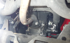 HONDA TACT Basket AF79