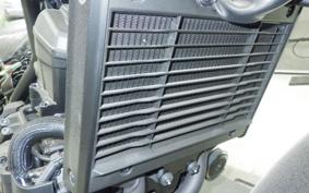 HONDA REBEL 1100 S DCT 2025 SC87