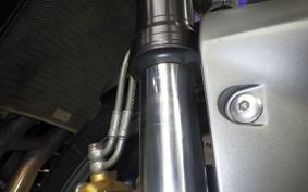 TRIUMPH STREET TRIPLE R 2010