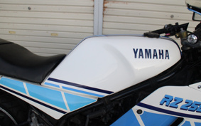 YAMAHA RZ250R 29L