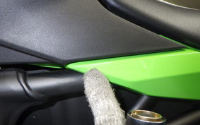 KAWASAKI ZX-4RR 2024 ZX400P