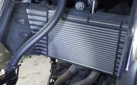 YAMAHA MT-25 2013 RG10J