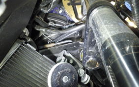 HONDA NM4 VULTUS -01 2019 RC82