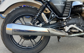 MOTO GUZZI V7 STONE 2013 ZGULW