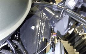 OTHER MUTT ヒルツ250
