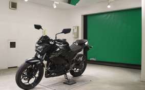 KAWASAKI Z250 2022 ER250C