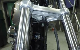 HARLEY FXDL 1340 2017