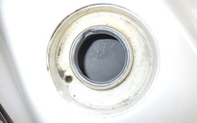 HONDA HORNET 250 MC31