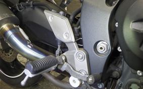 YAMAHA FZ1 FAZER 2006