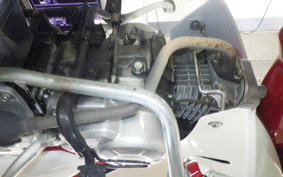 HONDA C110 SUPER CUB