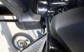 KAWASAKI Z900RS 2024 ZR900K