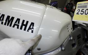 YAMAHA XSR900 GP 2024 RN96J