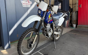 HONDA XR250 MD30