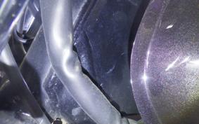HONDA GB350S 2024 NC59