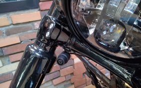 HARLEY FXBRS 2021 YHK