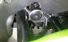 KAWASAKI ZX-4RR 2023 ZX400P