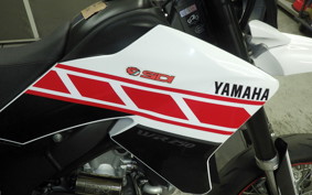 YAMAHA WR250X 1982 DG15J