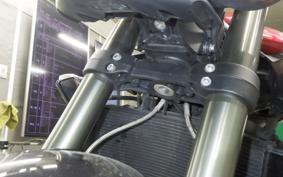 TRIUMPH STREET TRIPLE RS 2024