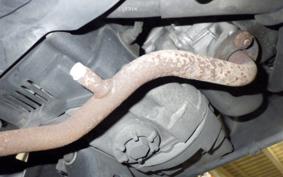 YAMAHA VINO 50 SA37J