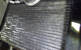 KAWASAKI NINJA 250 SL 2016 BX250A