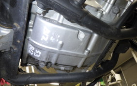 KAWASAKI KLX250D TRACKER X LX250V