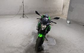 KAWASAKI Z250 SL BR250E