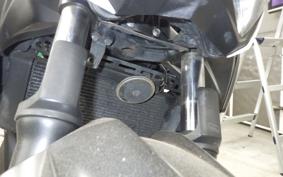KAWASAKI Z250 2022 ER250C