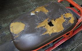 HONDA ZOOMER 2019 AF58