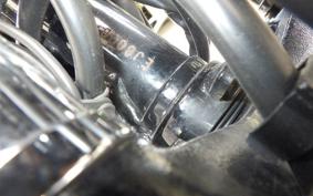 KAWASAKI W800 2020 EJ800B