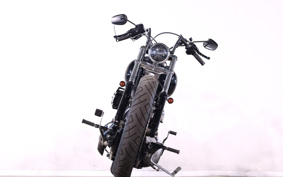HARLEY FXST 2010 BV5