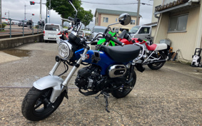 HONDA  DUX 125 JB04