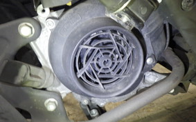 SUZUKI ADDRESS 110 2021 CE47A