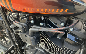 HARLEY FXBBS 2022 YYK