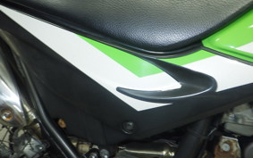 KAWASAKI SUPER SHERPA KL250G