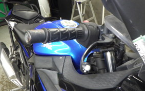 KAWASAKI NINJA 250 EX250L