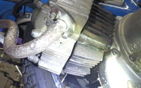 HONDA LITTLE 2023 P25