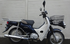 HONDA SUPER CUB110 JA10