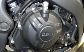 YAMAHA YZF-R25 A 2001 RG43J