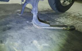 HONDA DIO Gen.6 1997 AF68