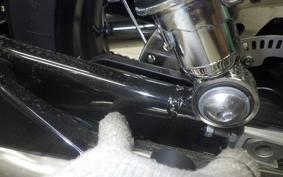 TRIUMPH BONNEVILLE T100 2021