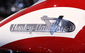 HARLEY FLI HYDRA-GLIDE 2024 BCK