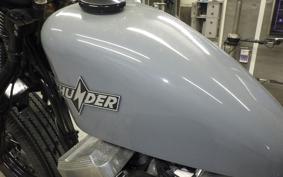 OTHER +UNREGISTERED MODEL by BDS250 2015