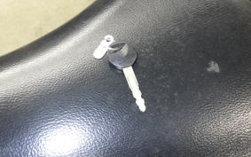 SUZUKI ST250E 2021 NJ4CA