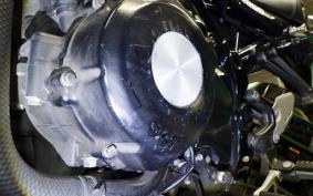 KAWASAKI Z900RS 2023 ZR900K