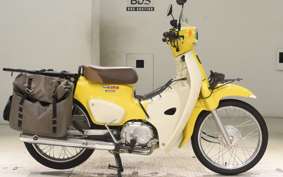 HONDA C110 SUPER CUB 2009 JA44