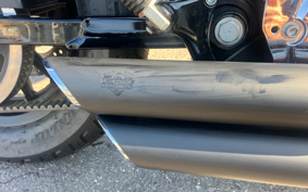 HARLEY XL1200L 2008 CX3