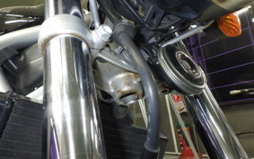 HONDA VTR 250 Gen. 2 2015 MC33