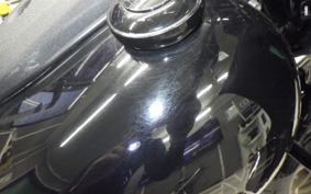 HARLEY FXLRST1920 2022