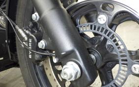 OTHER +ENFIELD ﾒﾃｵ350 2024