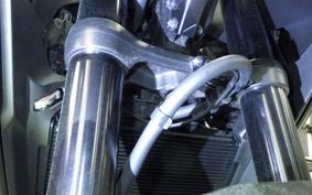 HONDA NX400 2024 NC65